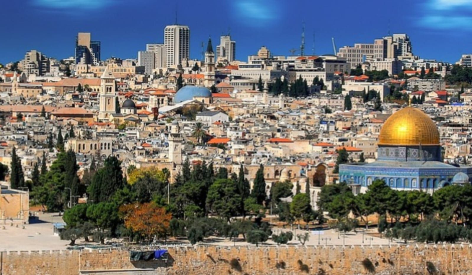 תמונה של WhatsApp‏ 2025-01-26 בשעה 13.18.32_6689ff08
