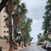 Property 1334 A Magical House in Herzliya Pituach - Image 4